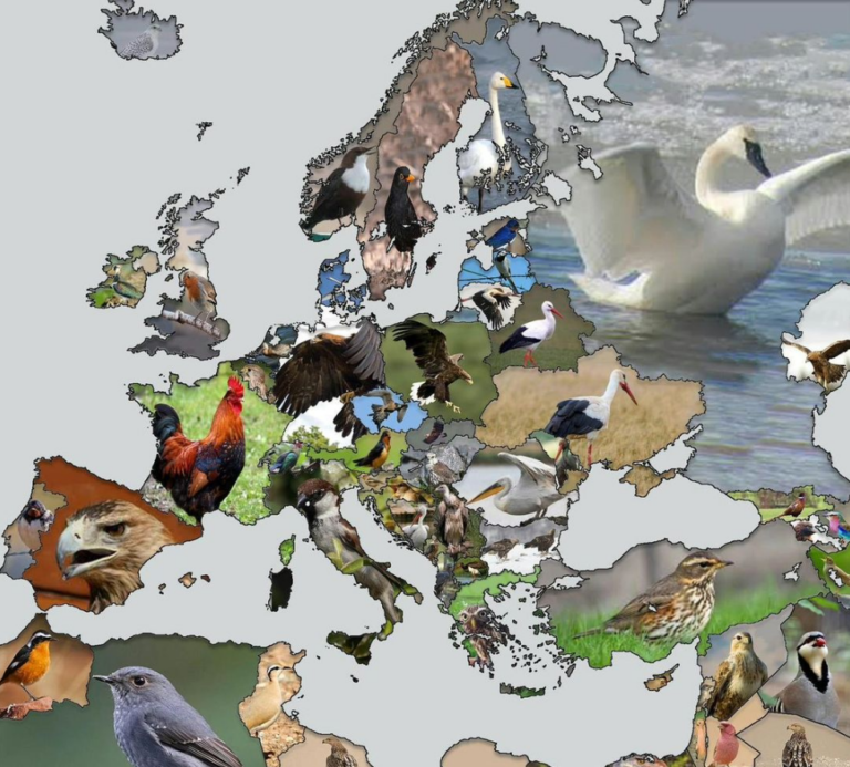 Nationaltiere europäischer Länder – Der Schwan in Russland passt irgendwie nicht. Der Hahn in Frankreich ist bekannt. Viele Greifvögel sind vorhanden.